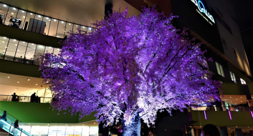 Tokyo Fashion Week SS27: talenti, sfide e corsa verso Parigi
